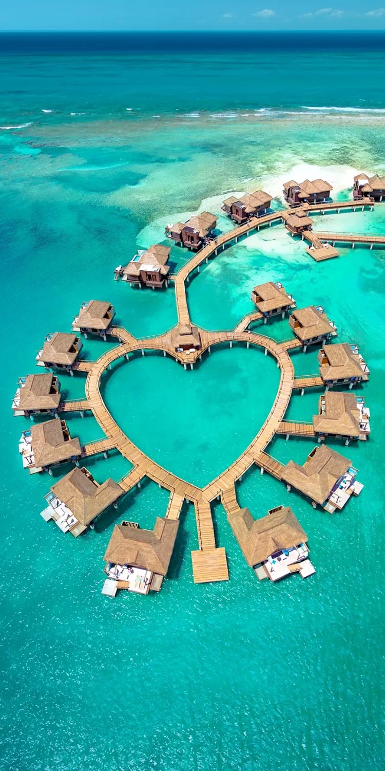 honeymoon travel agent michigan