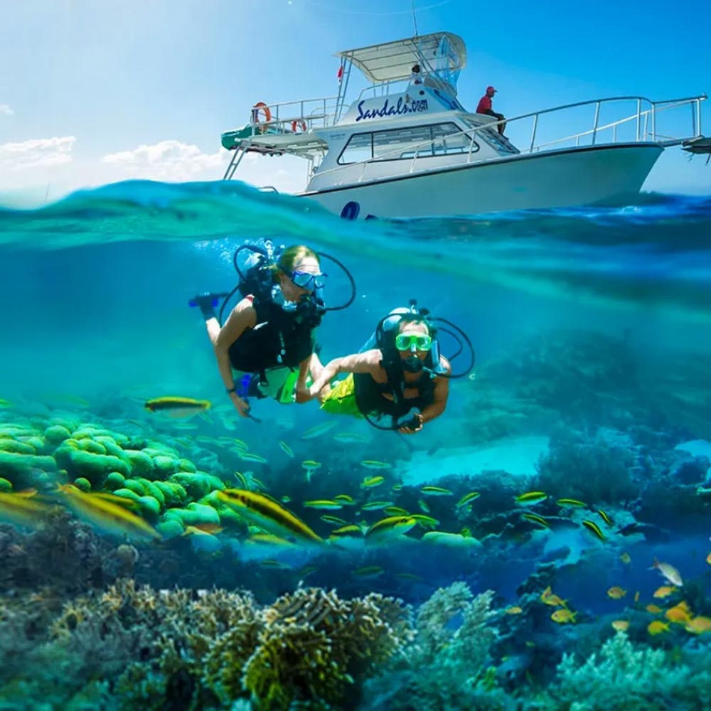 honeymoon travel agent michigan
