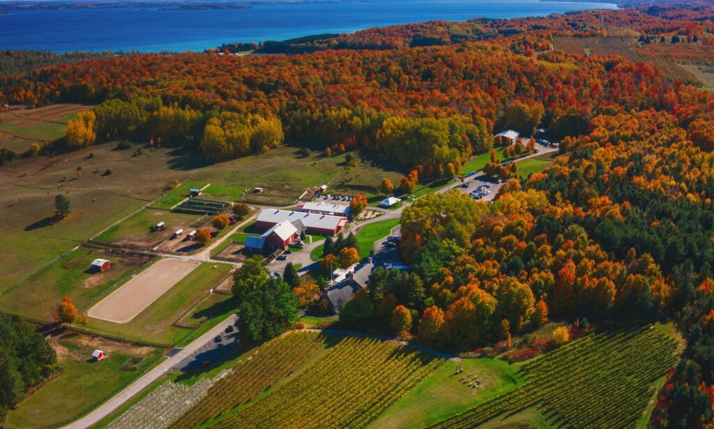 michigan wineries for bachelorette party