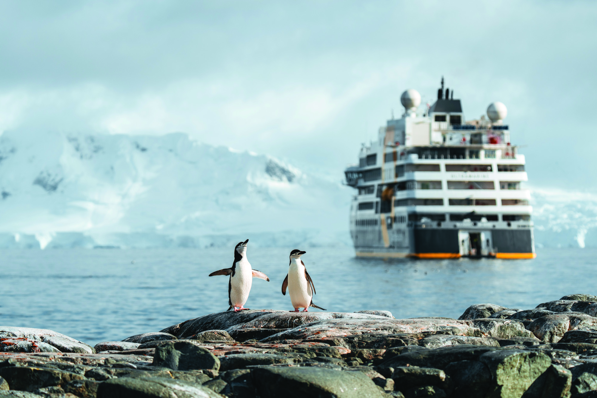 QuarkExpeditions_QUARKANTARCTICA333_Credit-Brad Flowerdew